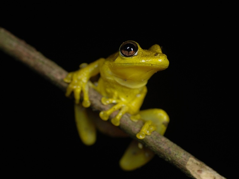 Best time to visit Manu National Park seasons